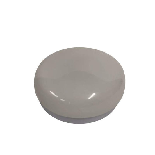 Frosted Glass Ceiling Light