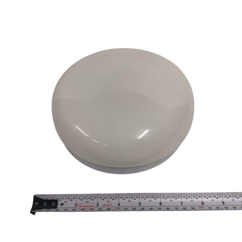 Frosted Glass Ceiling Light