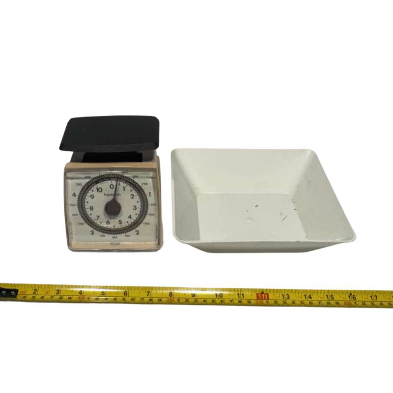 Hanson Kitchen Scale with Weighing Pan