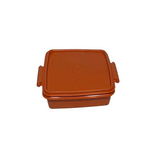 Terracotta Tupperware Square Sandwich Keeper
