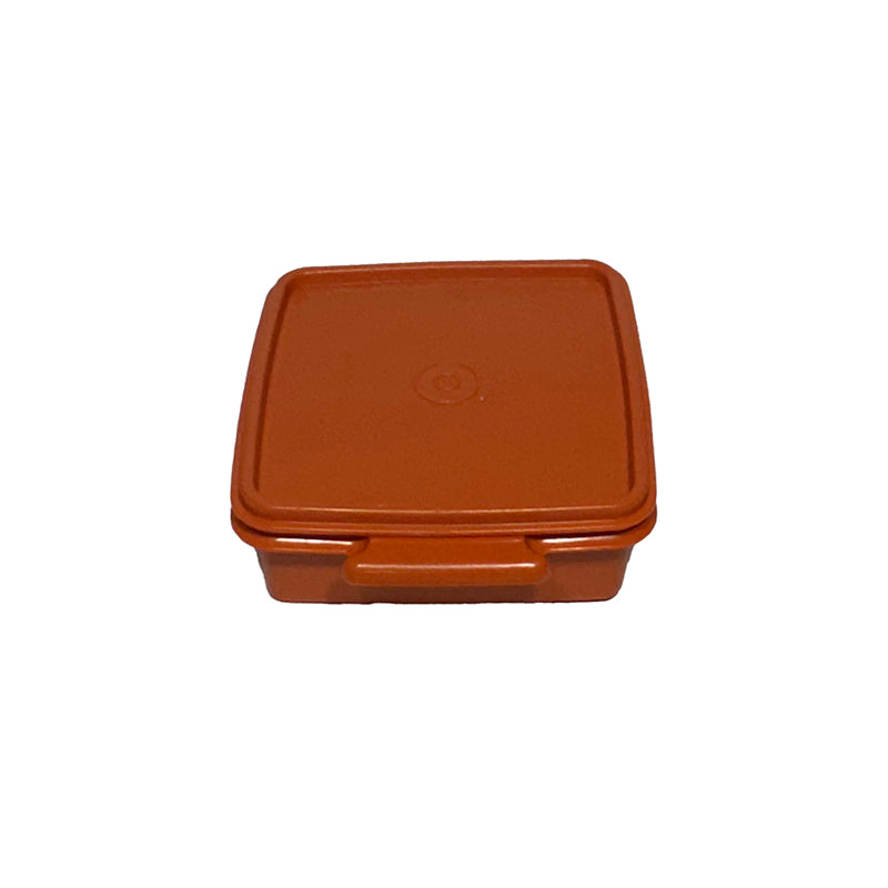 Terracotta Tupperware Square Sandwich Keeper